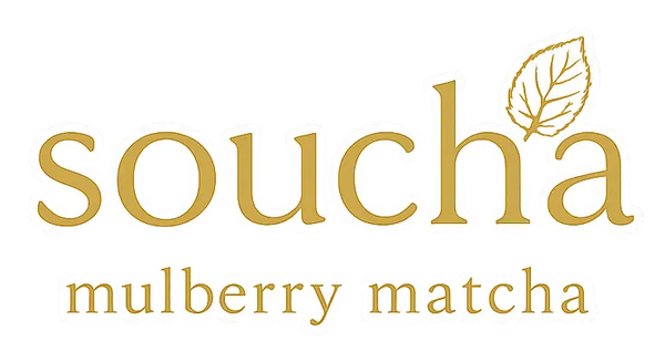 SOUCHA  JAPAN  mulberry  leaf tea